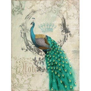 Decorating A Peacock Bathroom