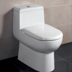 Replacing An Inefficient Toilet